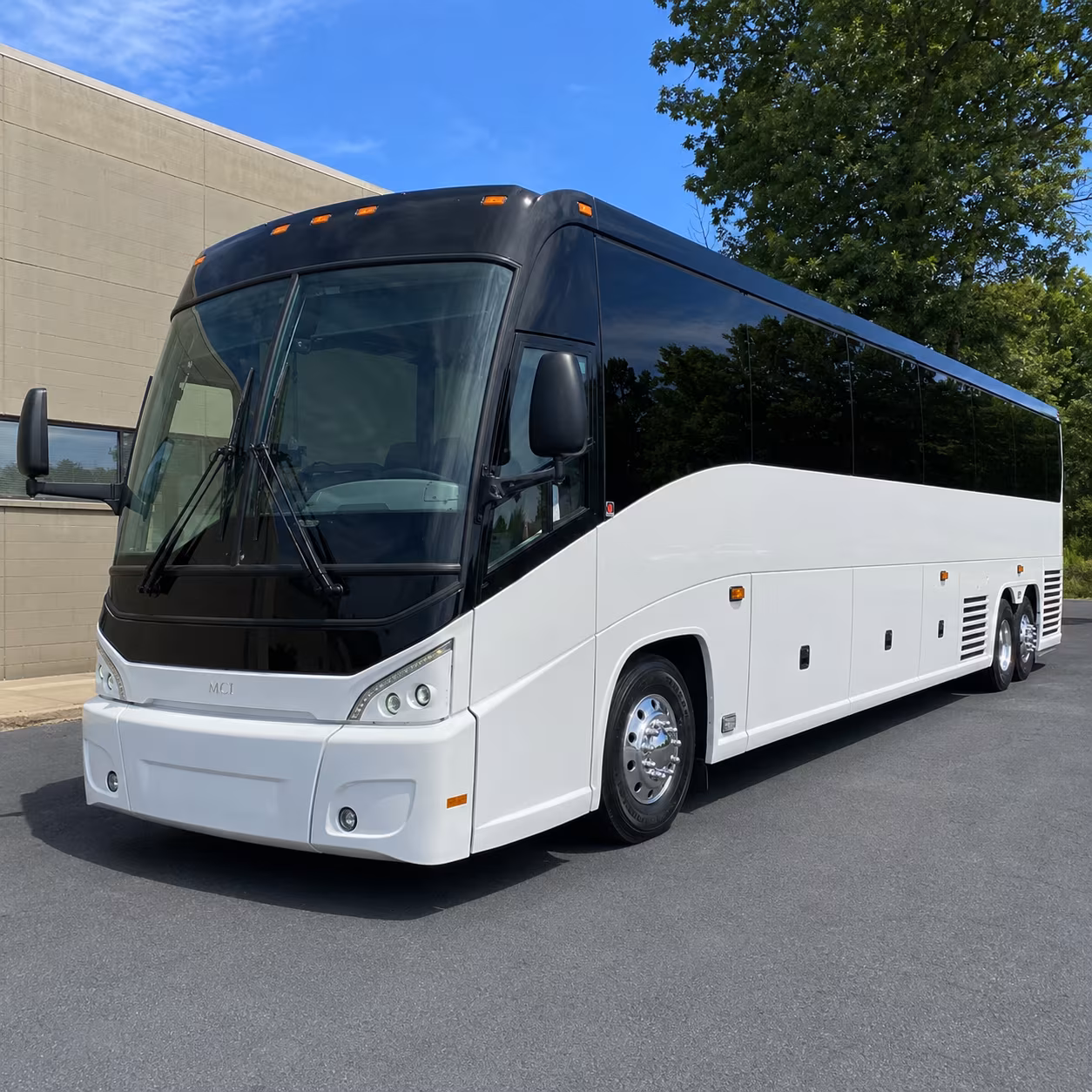 book a pilgrimage bus to the basilica of the immaculate conception
